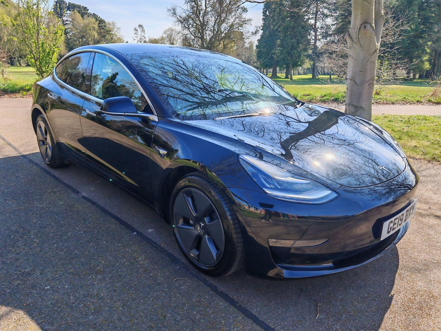 Used Tesla Model 3 2019 for sale - 76592655: Photo 1