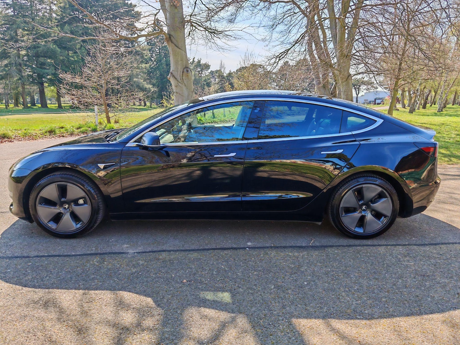Used Tesla Model 3 2019 for sale - 76592655: Photo 7