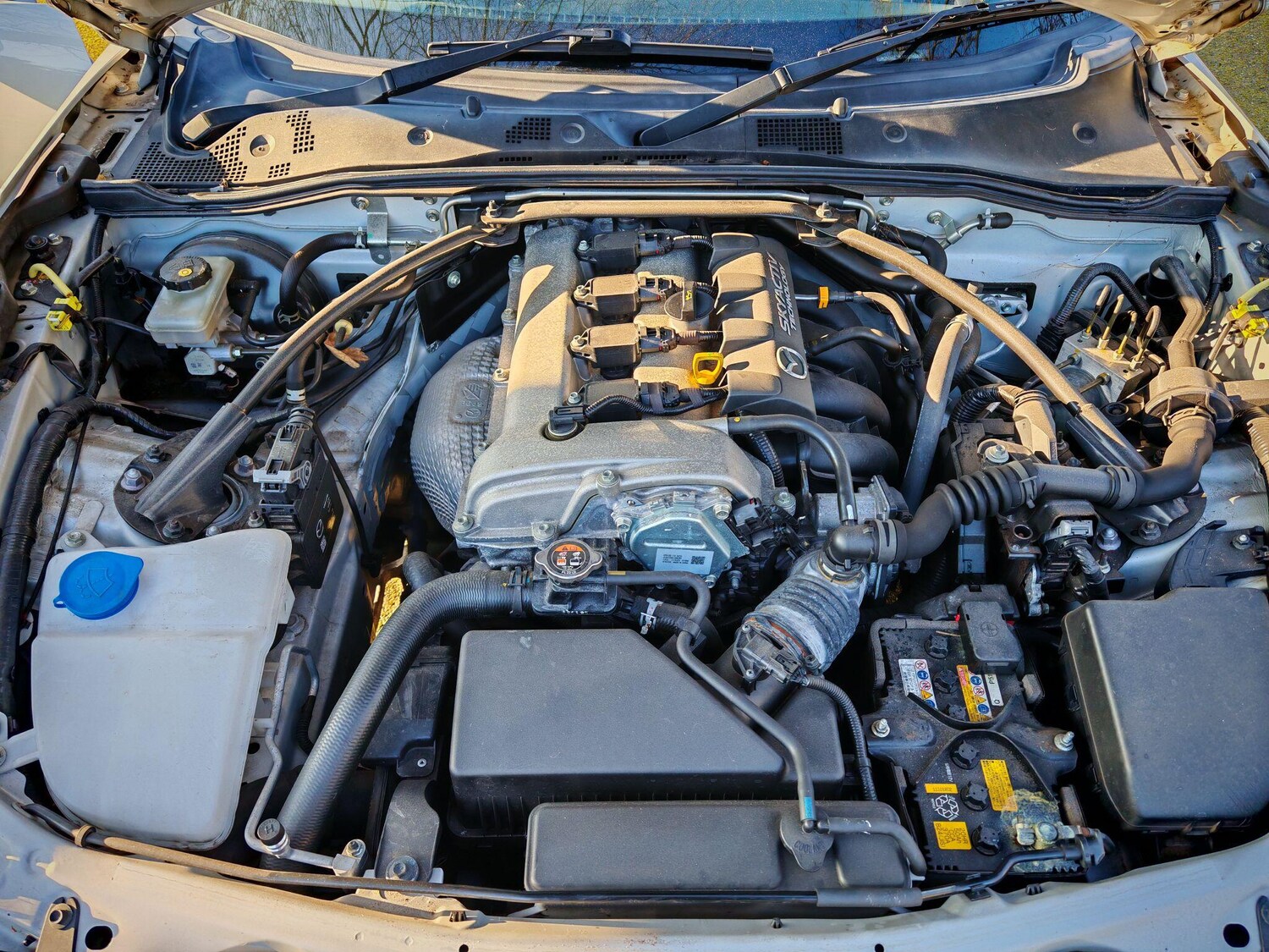 Used Mazda MX-5 2016 for sale - 77839987: Photo 38