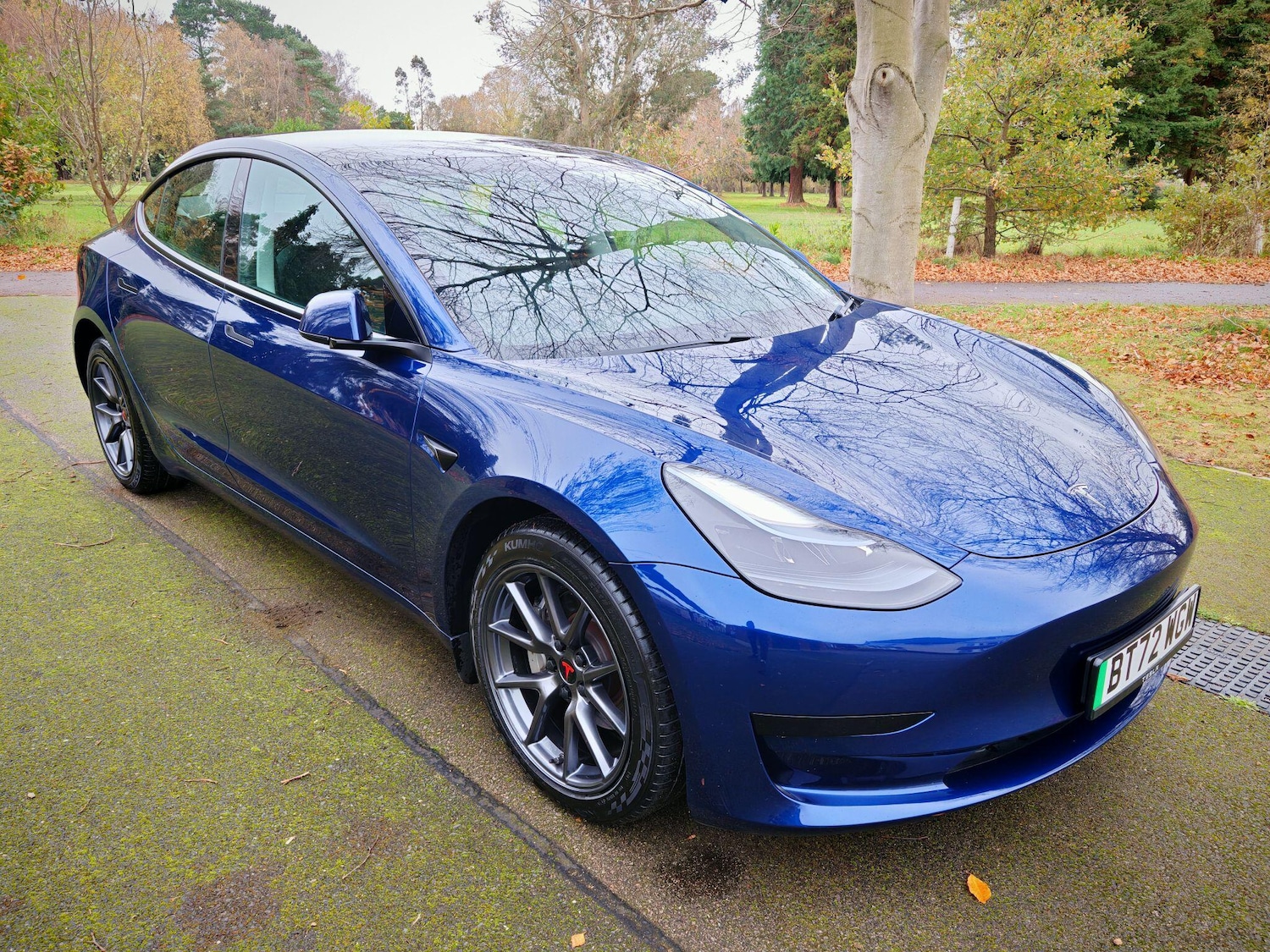 Used Tesla Model 3 2022 for sale - 76690018: Photo 1