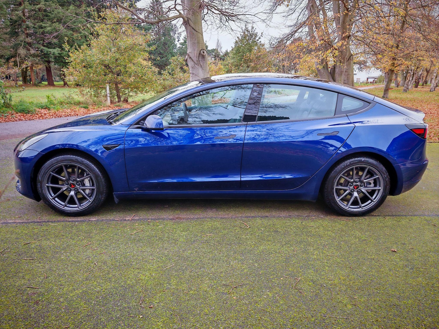 Used Tesla Model 3 2022 for sale - 76690018: Photo 7