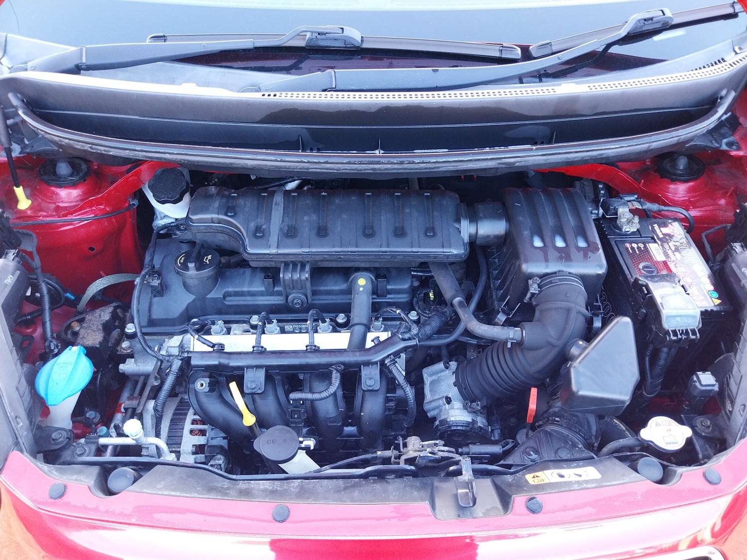 Used Kia Picanto 2016 for sale - 77350739: Photo 25