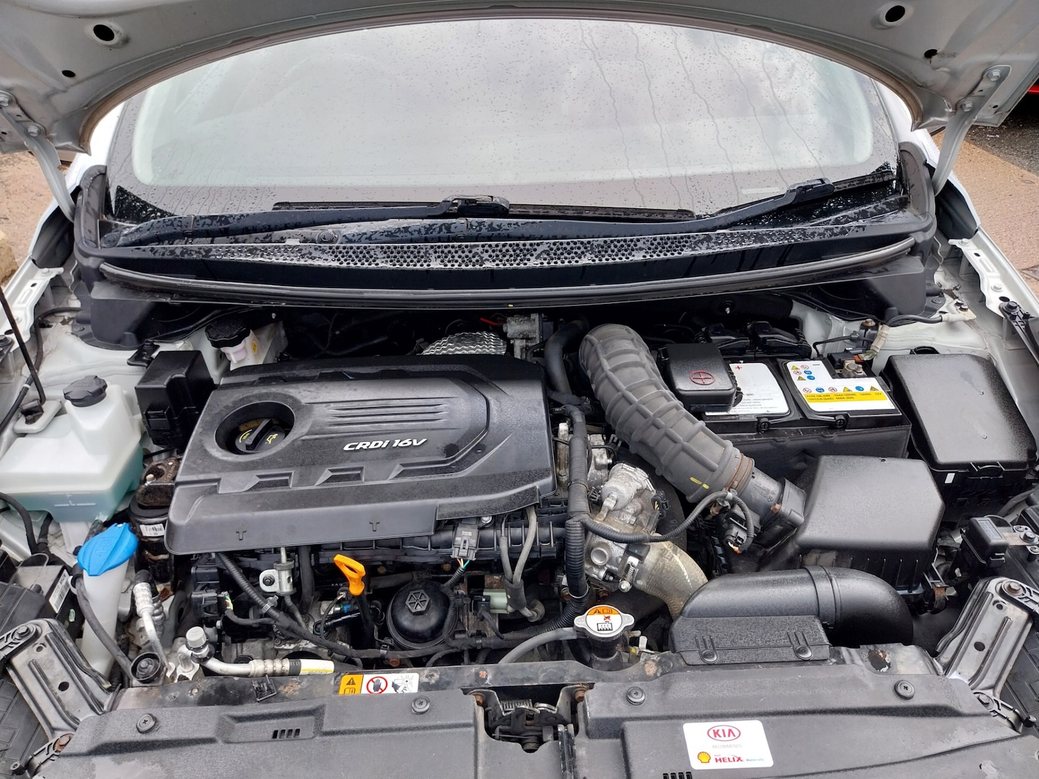 Used Kia Ceed 2016 for sale - 77568737: Photo 19