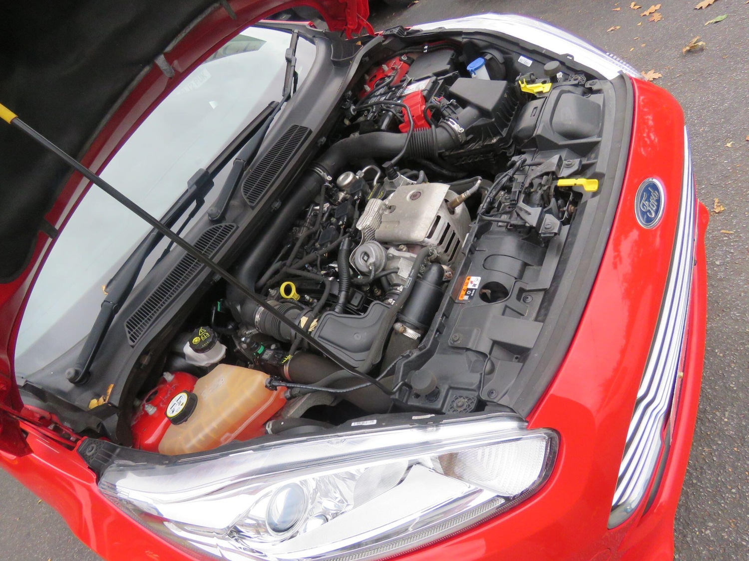 Used Ford Fiesta 2016 for sale - 76314786: Photo 34