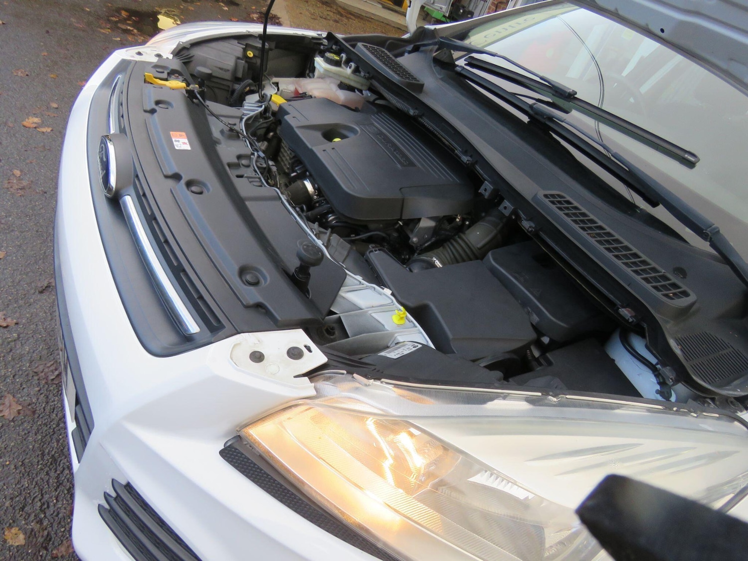 Used Ford Kuga 2015 for sale - 76772176: Photo 51