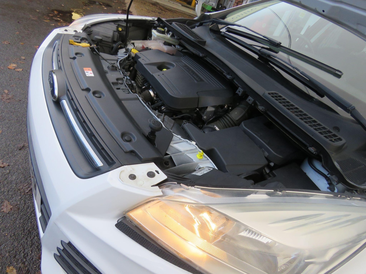 Used Ford Kuga 2015 for sale - 76772176: Photo 53