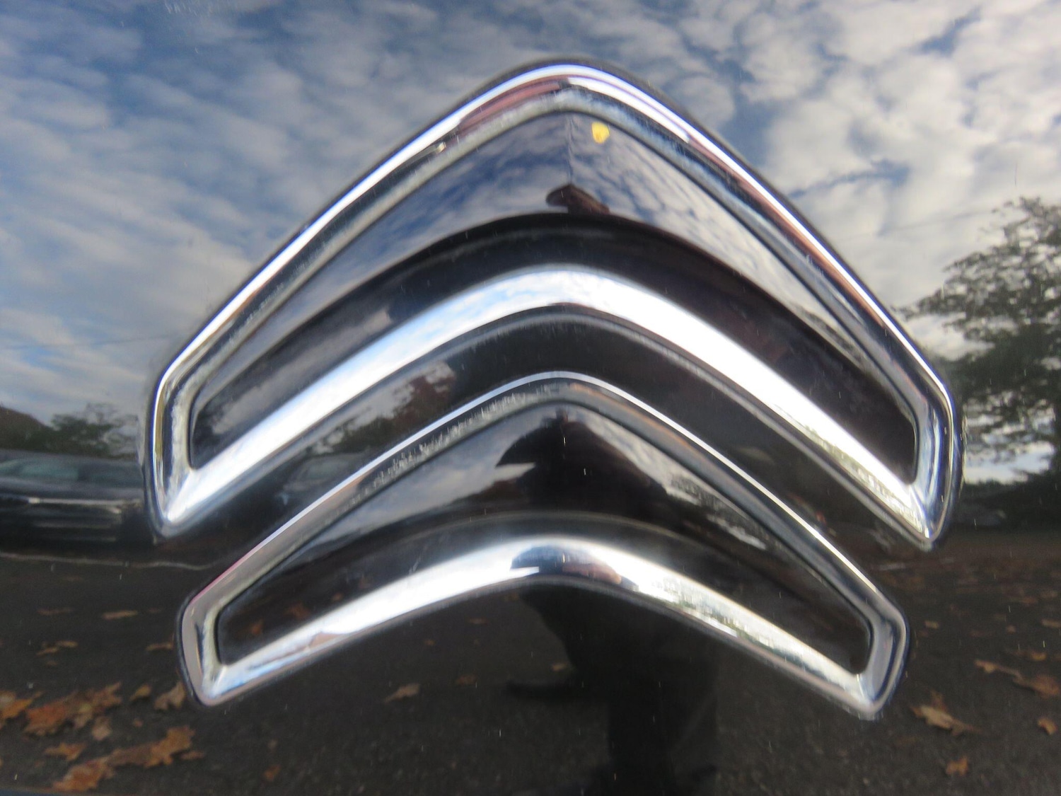 Used Citroen C4 Cactus 2015 for sale - 76388842: Photo 62