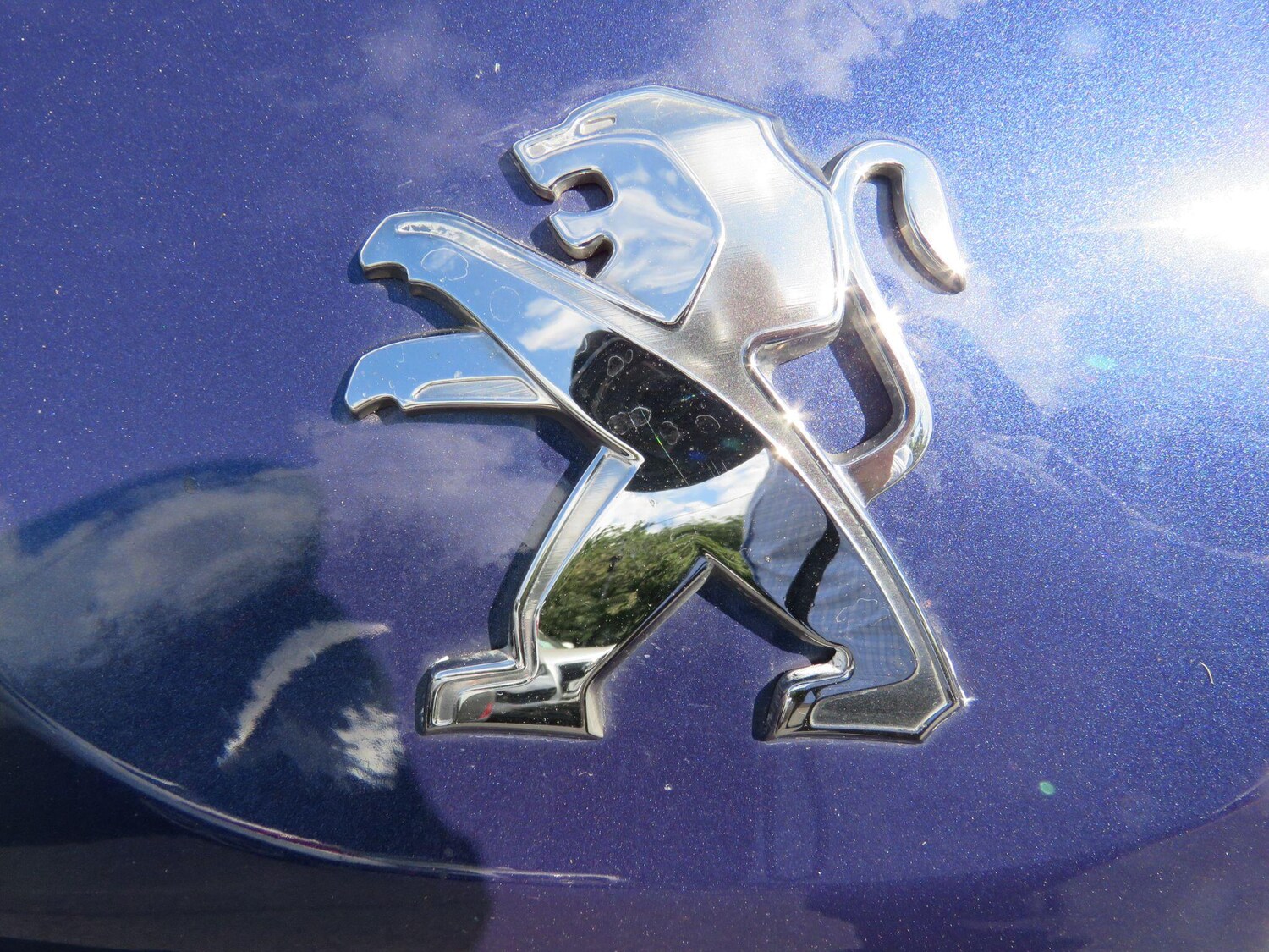 Vehicle 43