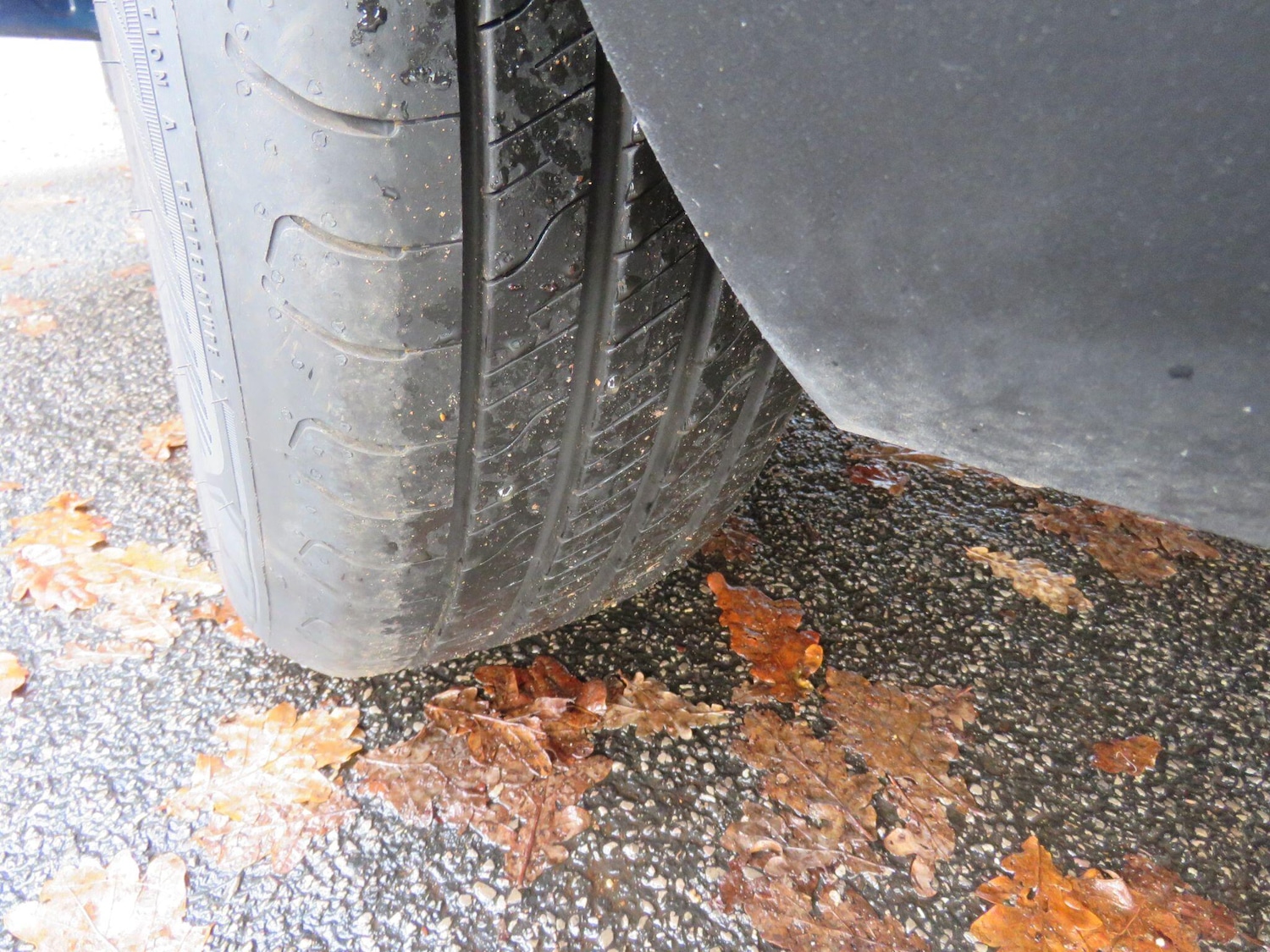 Used Ford Kuga 2020 for sale - 76990172: Photo 12