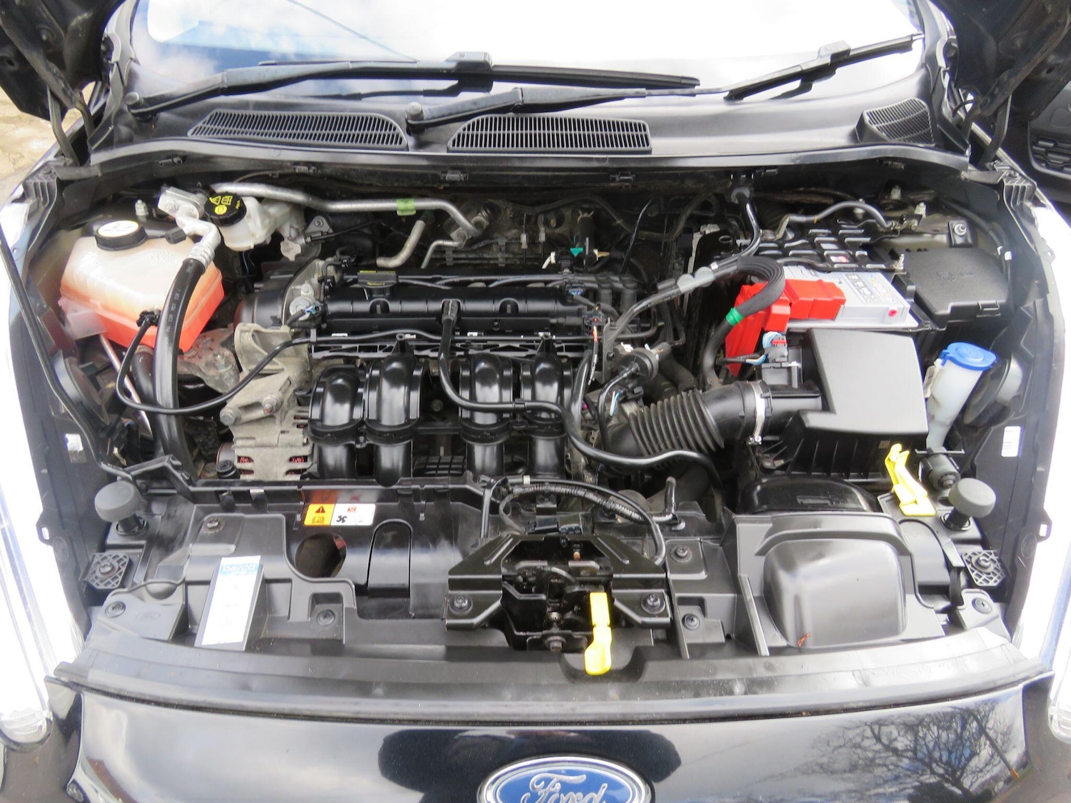 Used Ford Fiesta for sale - 77658233: Photo 76