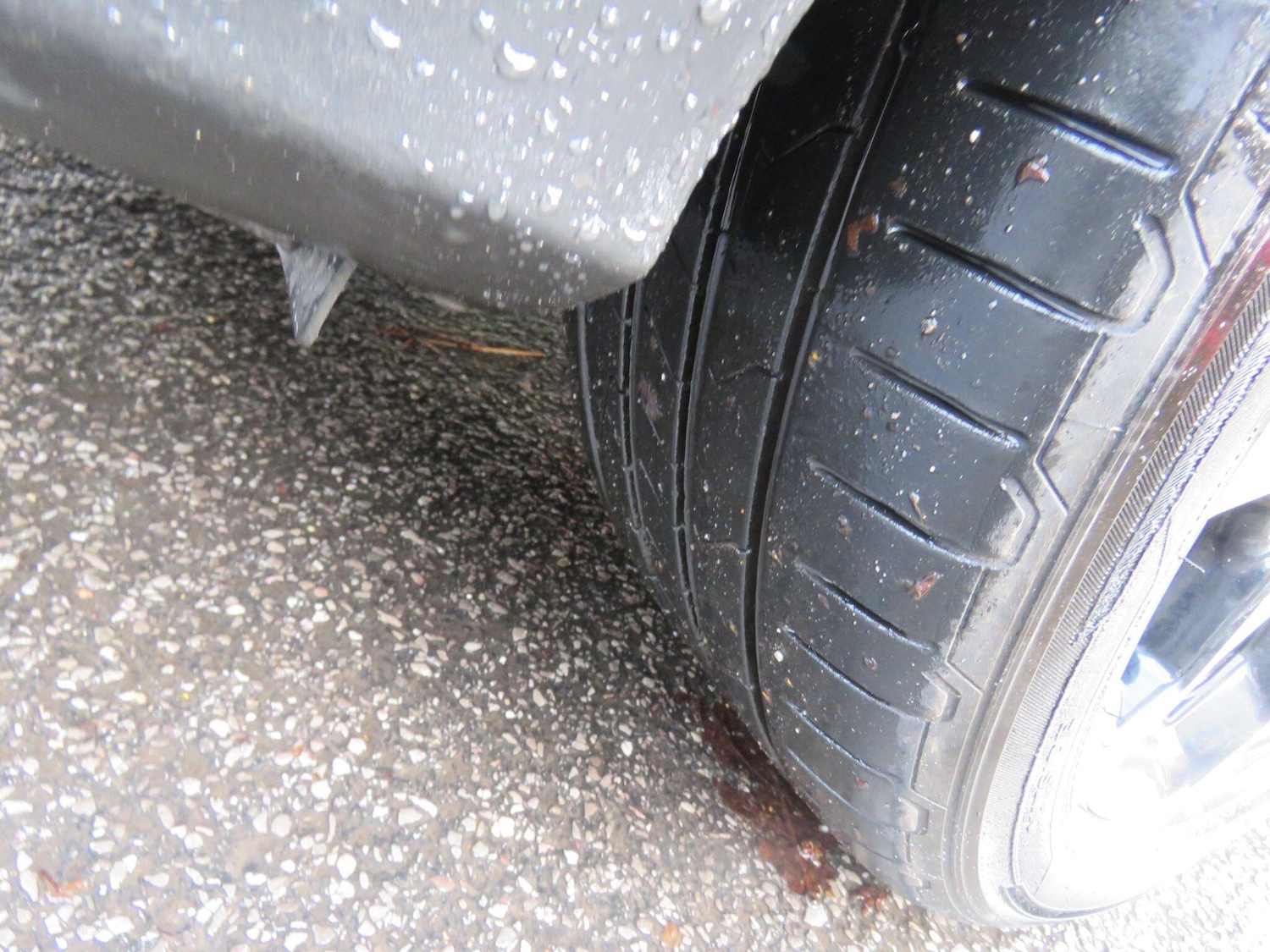 Used Ford Focus for sale - 77290922: Photo 17