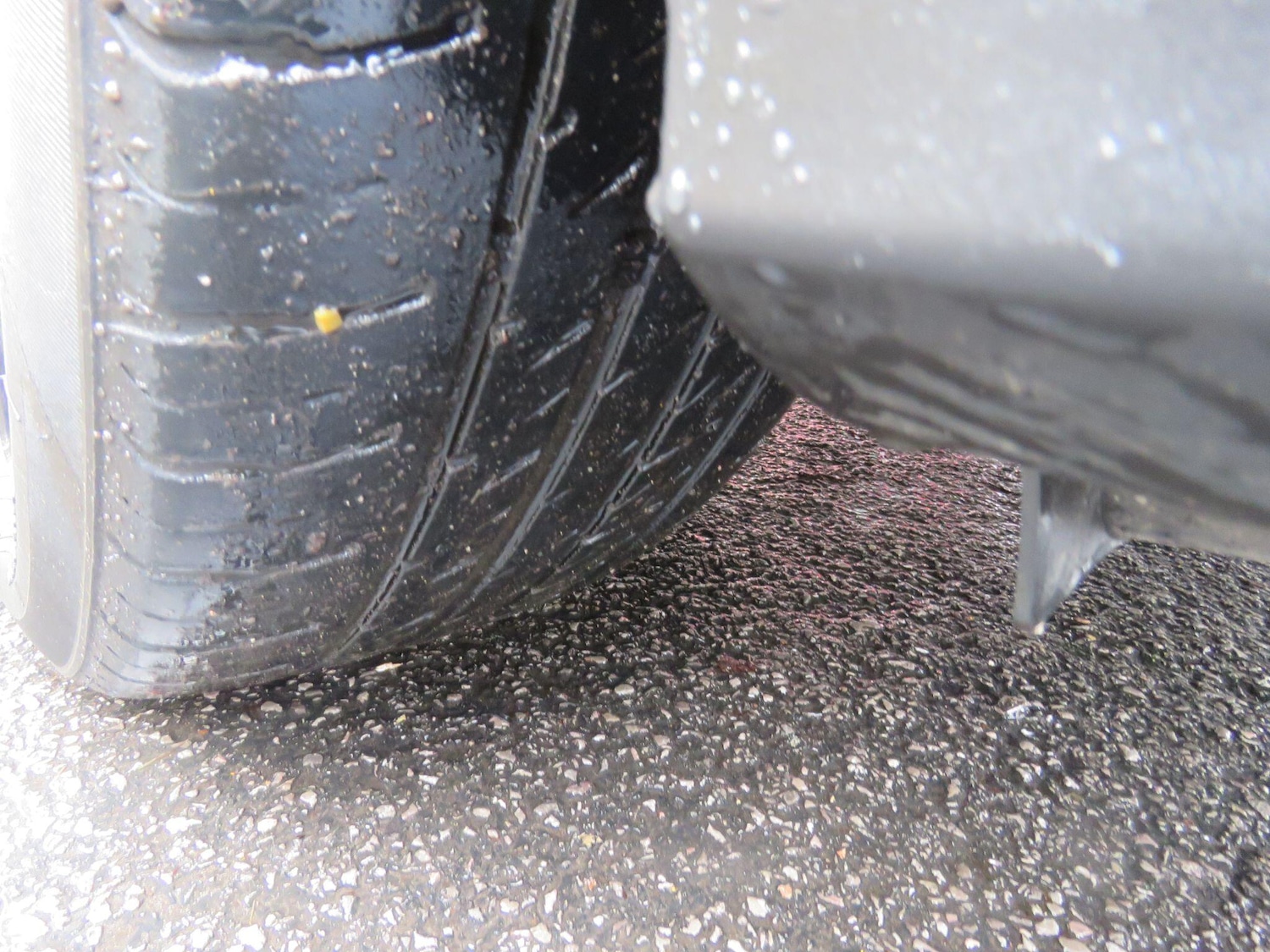 Used Ford Focus for sale - 77290922: Photo 22