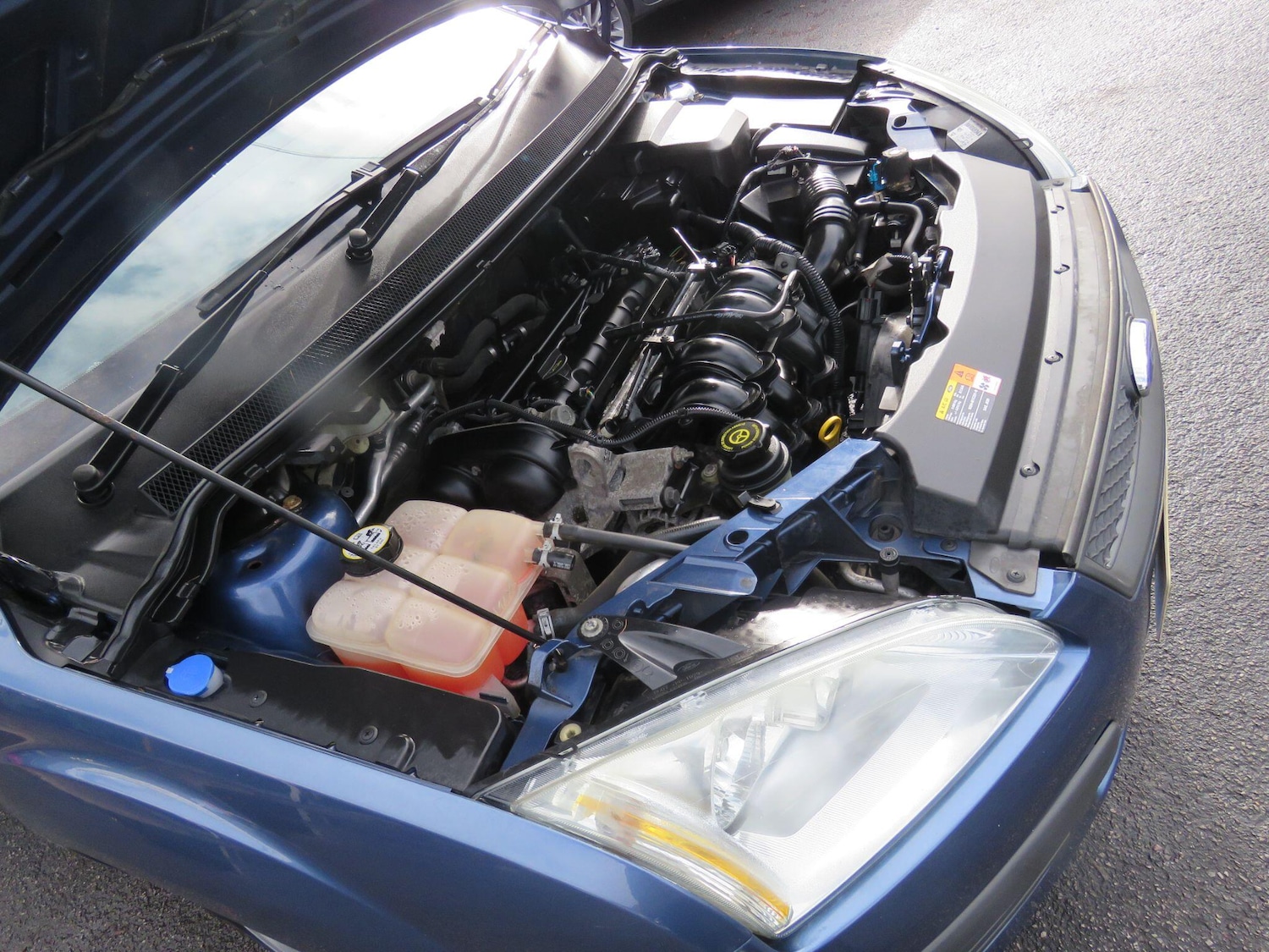 Used Ford Focus 2005 for sale - 77537782: Photo 31