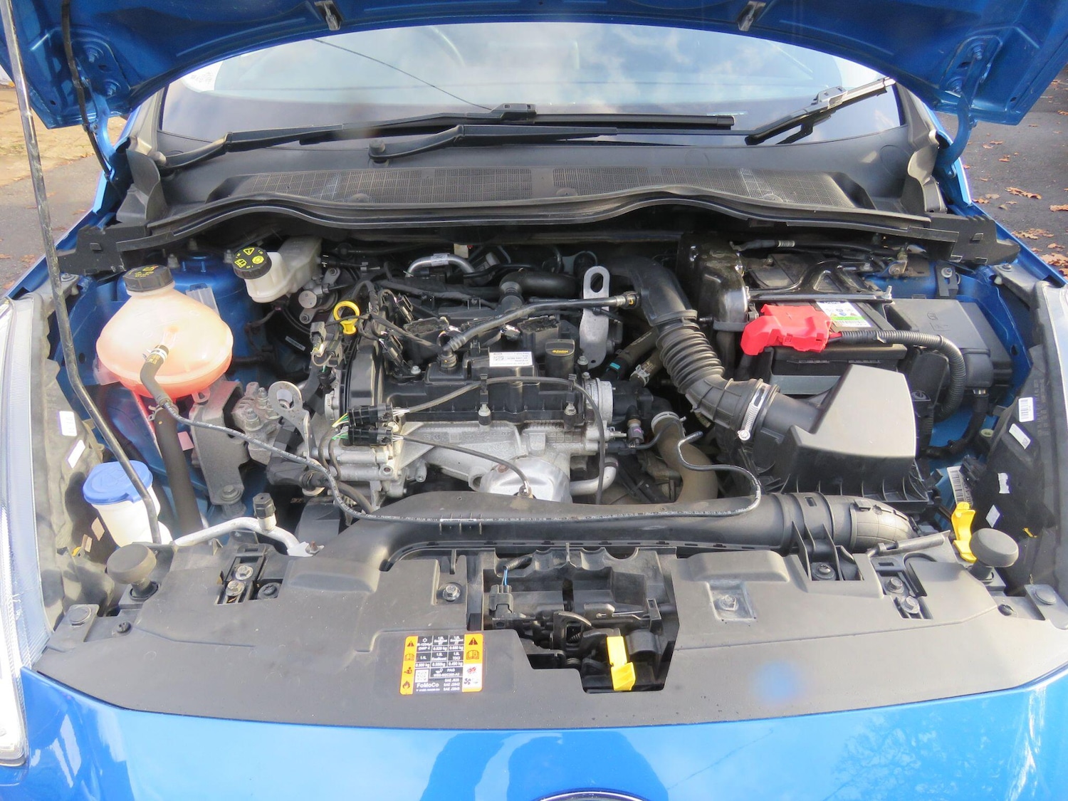 Used Ford Fiesta 2019 for sale - 76990008: Photo 56