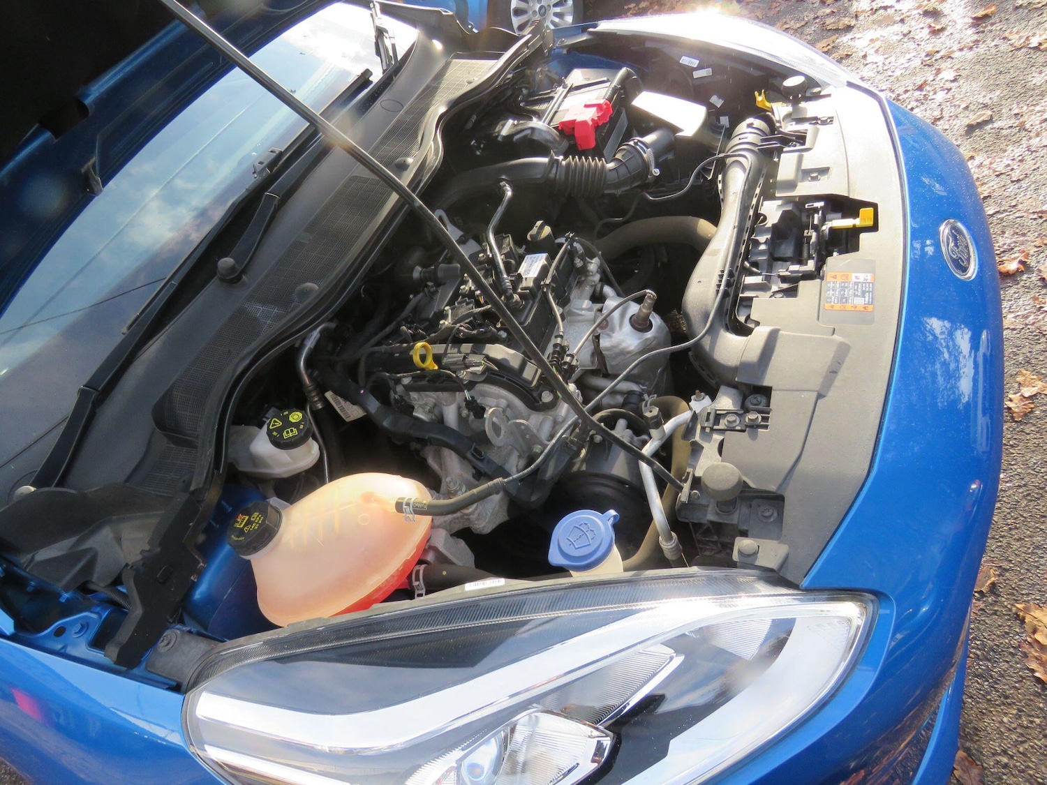 Used Ford Fiesta 2019 for sale - 76990008: Photo 57