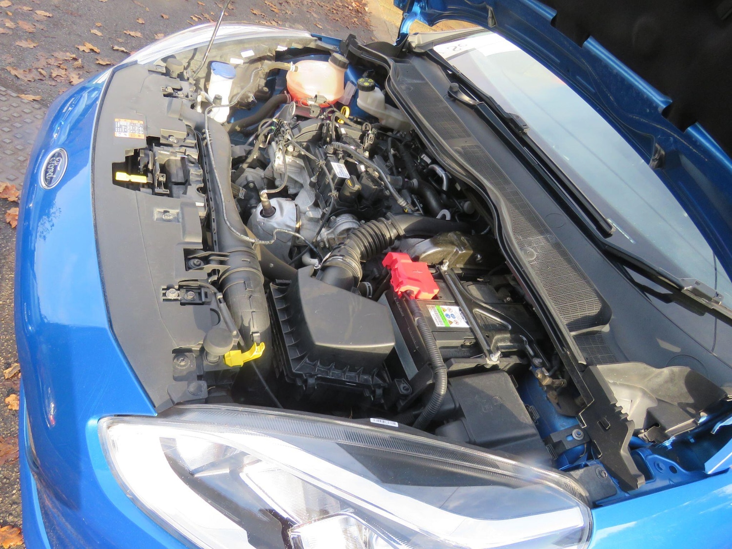 Used Ford Fiesta 2019 for sale - 76990008: Photo 58