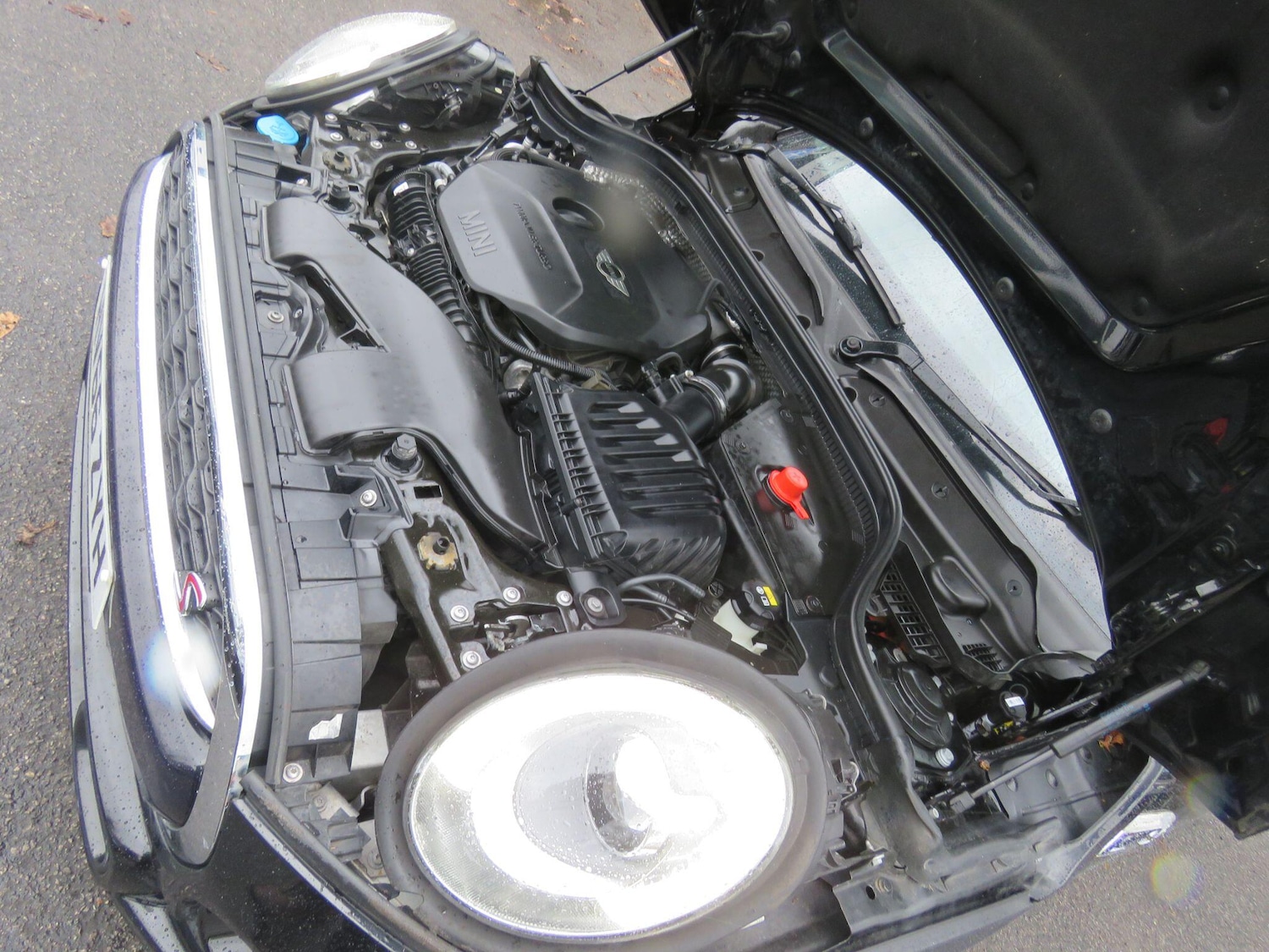 Used MINI Hatch 2016 for sale - 77612223: Photo 70