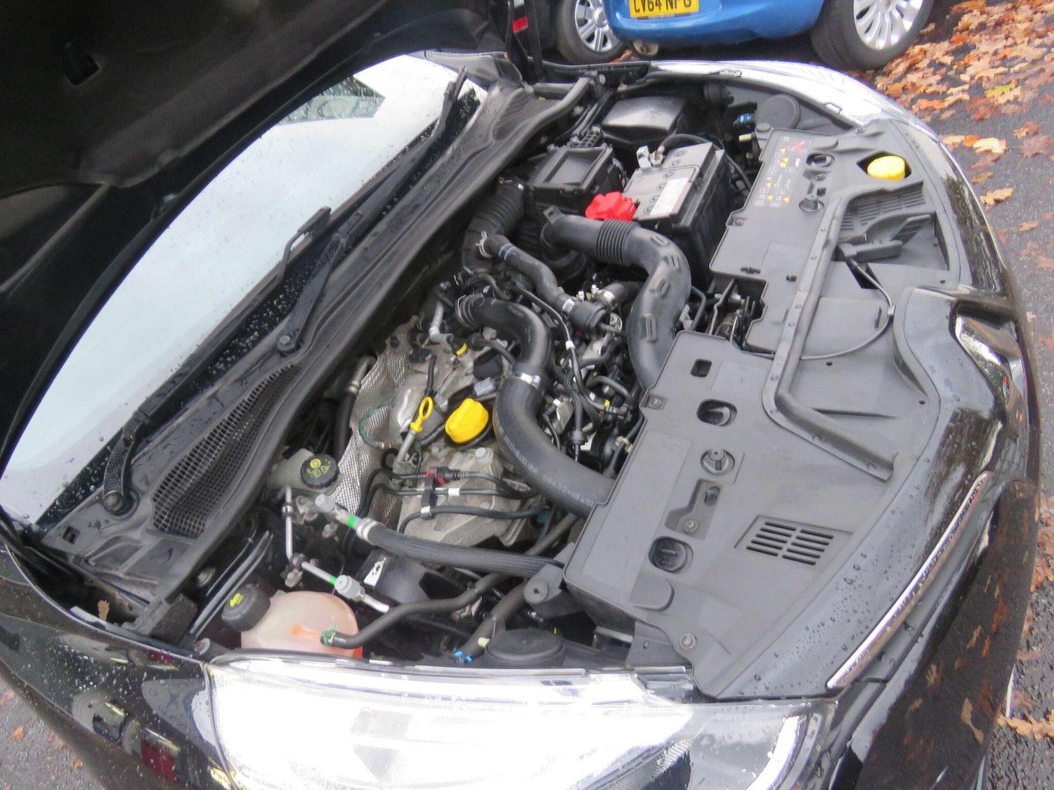 Used Renault Clio 2016 for sale - 76457522: Photo 39