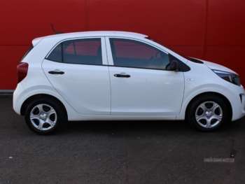 Used Kia Picanto 2023 for sale - 74889294: Photo