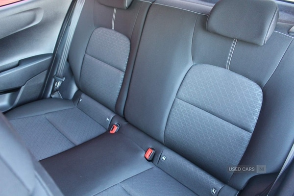 Used Kia Picanto 2023 for sale - 76646567: Photo 25