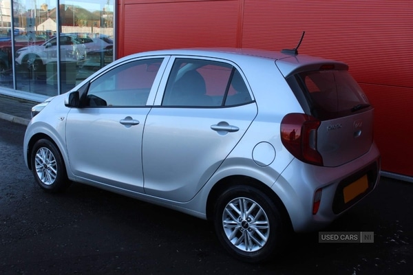 Used Kia Picanto 2023 for sale - 76646567: Photo 3