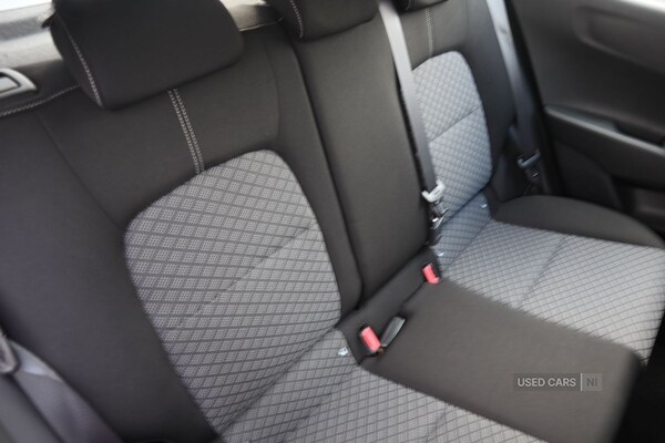 Used Kia Picanto 2025 for sale - 76240418: Photo 12