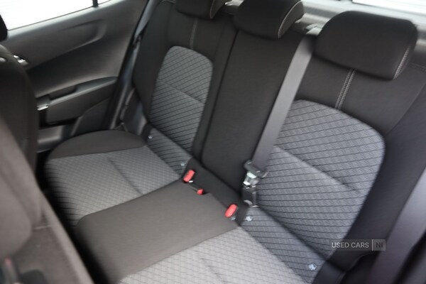Used Kia Picanto 2025 for sale - 76240418: Photo 13