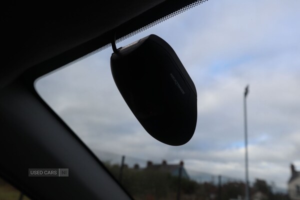 Used Kia Picanto 2025 for sale - 76240418: Photo 25