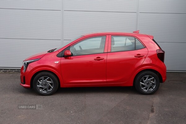 Used Kia Picanto 2025 for sale - 76240418: Photo 5