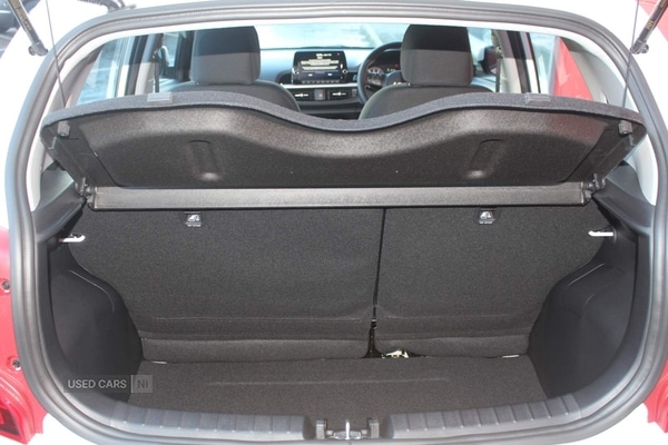 Used Kia Picanto 2023 for sale - 77231104: Photo 18