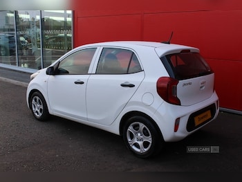 Used Kia Picanto 2023 for sale - 76201951: Photo