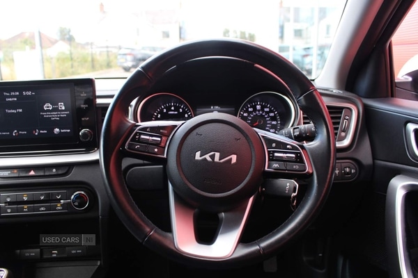 Used Kia Ceed 2023 for sale - 77230977: Photo 15