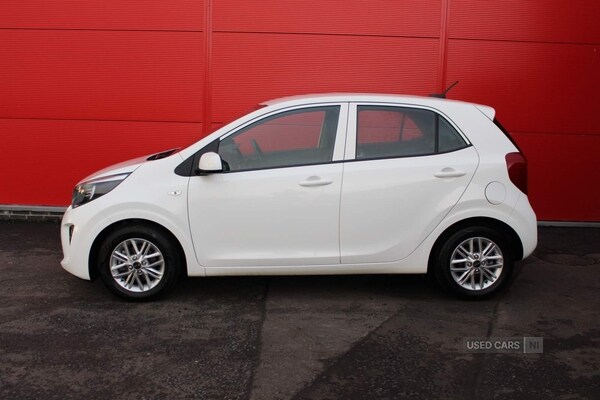 Used Kia Picanto 2023 for sale - 76308766: Photo 5
