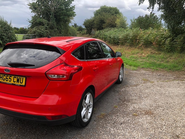 Used Ford Focus 2015 for sale - 75332223: Photo 10