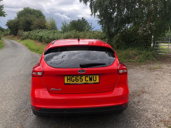 Used Ford Focus 2015 for sale - 75332223: Photo 6