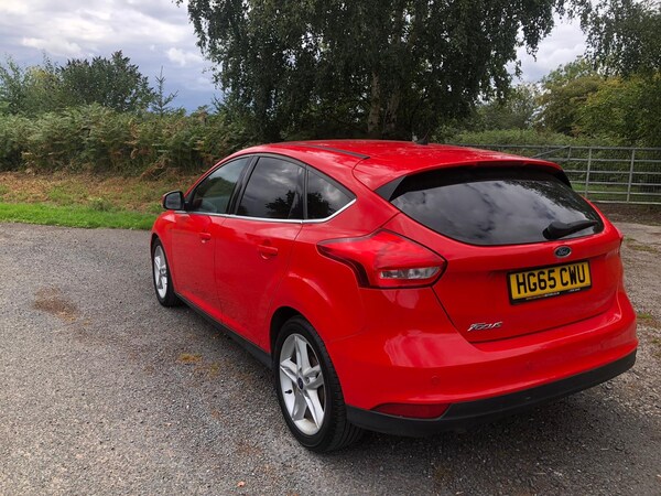 Used Ford Focus 2015 for sale - 75332223: Photo 7