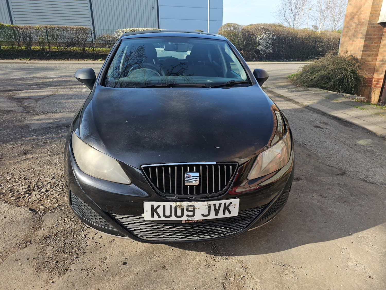 Used SEAT Ibiza 2009 for sale - 77933331: Photo 2