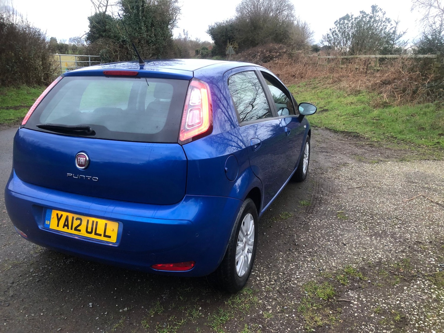 Used Fiat Punto 2012 for sale - 77694556: Photo 10