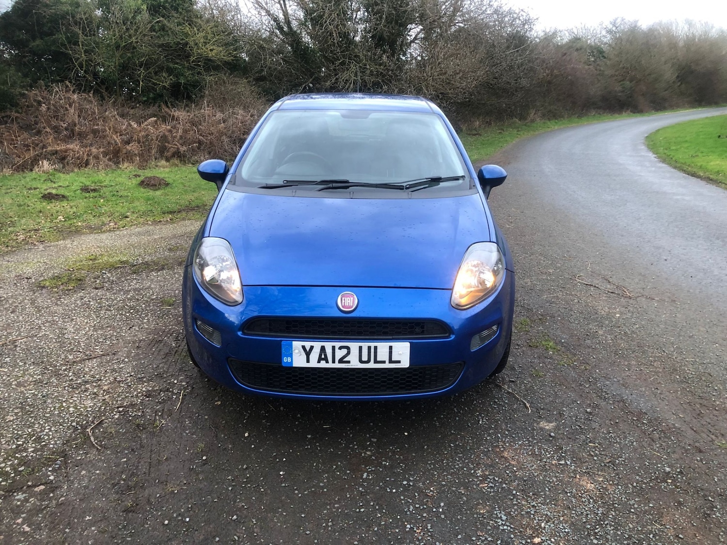 Used Fiat Punto 2012 for sale - 77694556: Photo 2