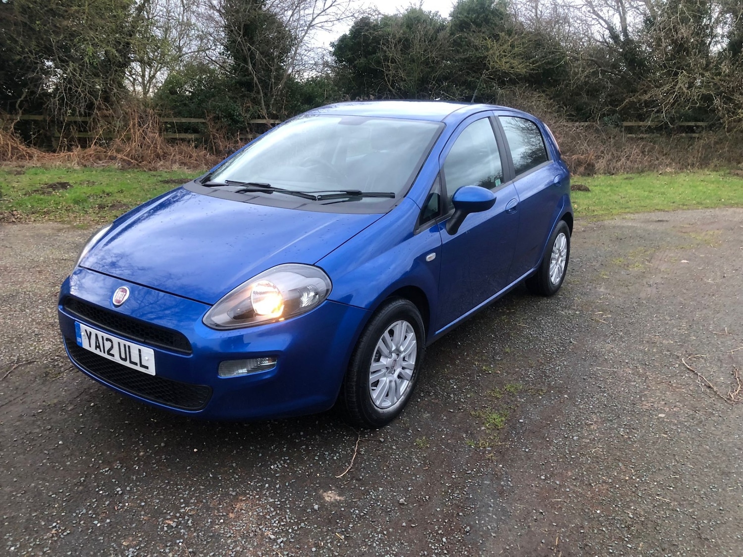 Used Fiat Punto 2012 for sale - 77694556: Photo 3