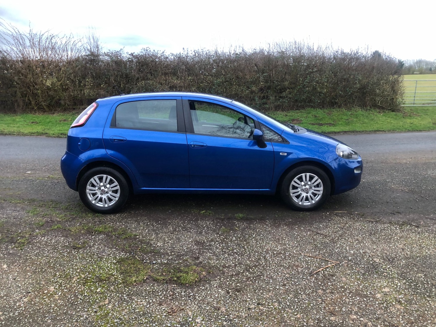 Used Fiat Punto 2012 for sale - 77694556: Photo 5