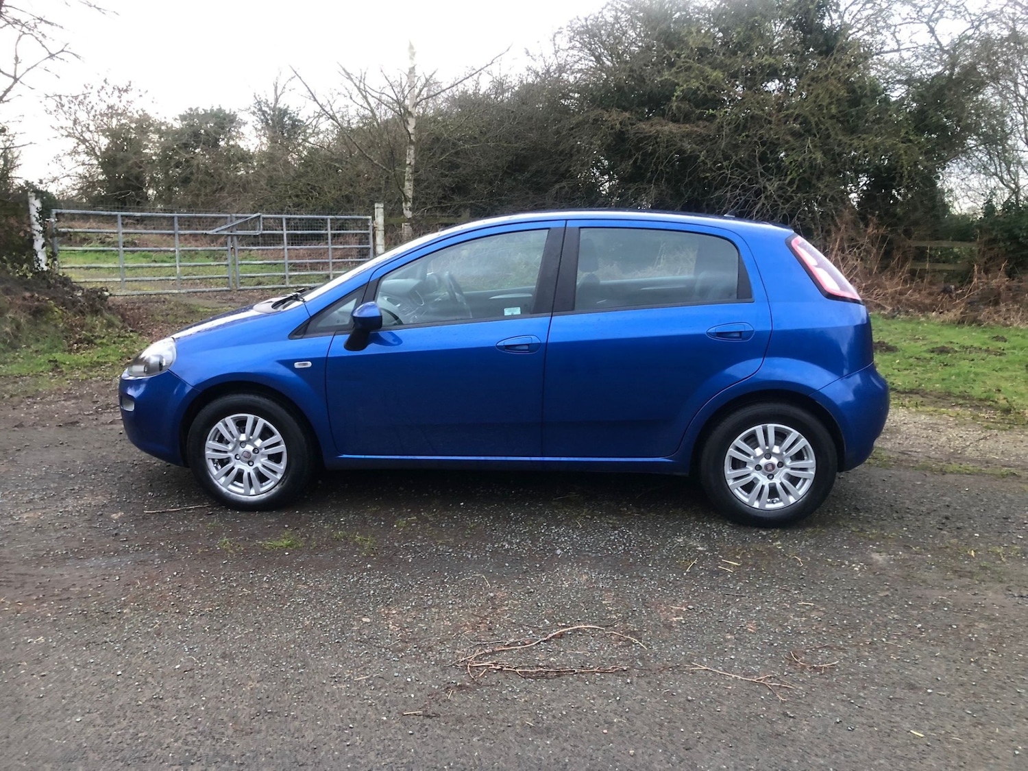 Used Fiat Punto 2012 for sale - 77694556: Photo 6