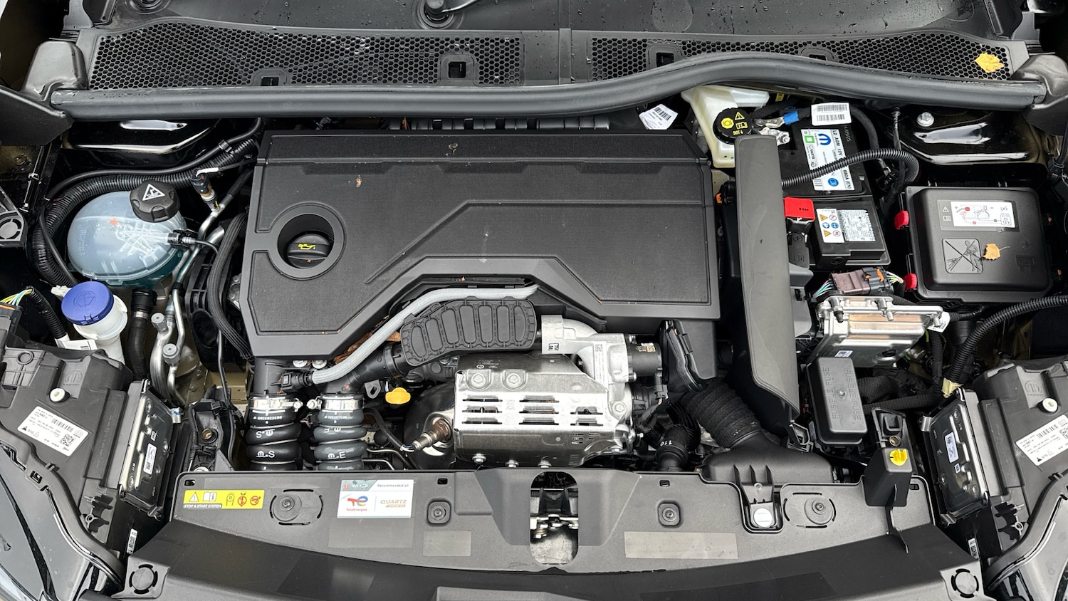 Used Peugeot 2008 2025 for sale - 77052610: Photo 18