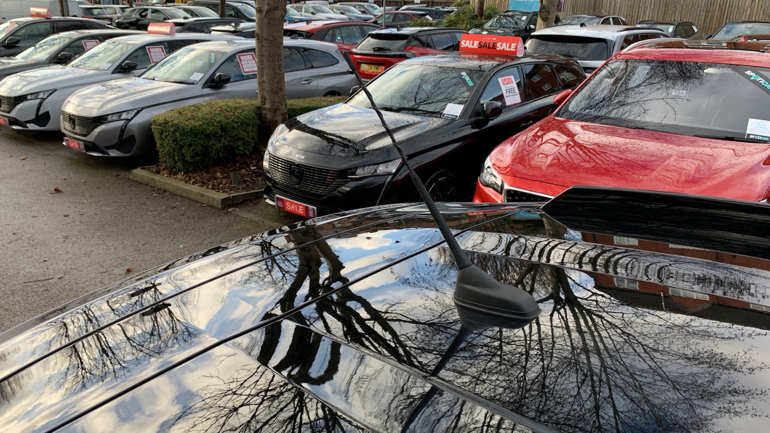 Used Citroen C3 2025 for sale - 77121186: Photo 47