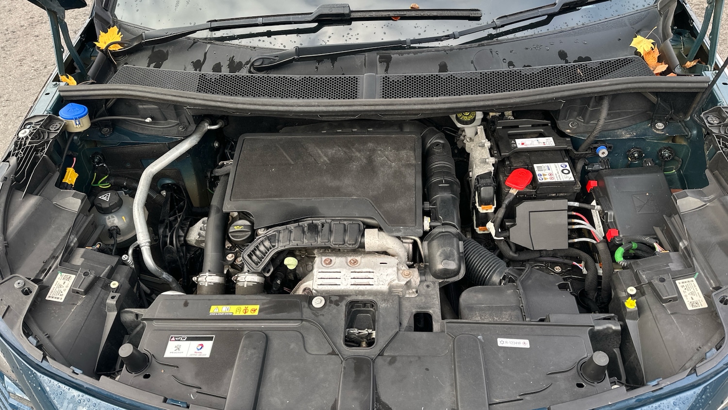 Used Peugeot 3008 2022 for sale - 77292691: Photo 19