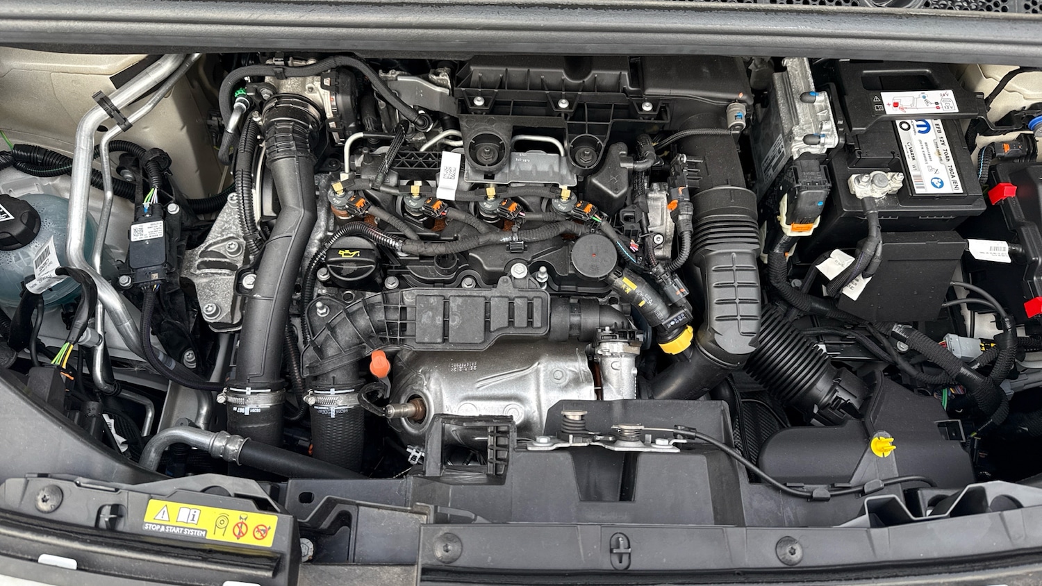 Used Citroen Berlingo 2024 for sale - 76887937: Photo 18