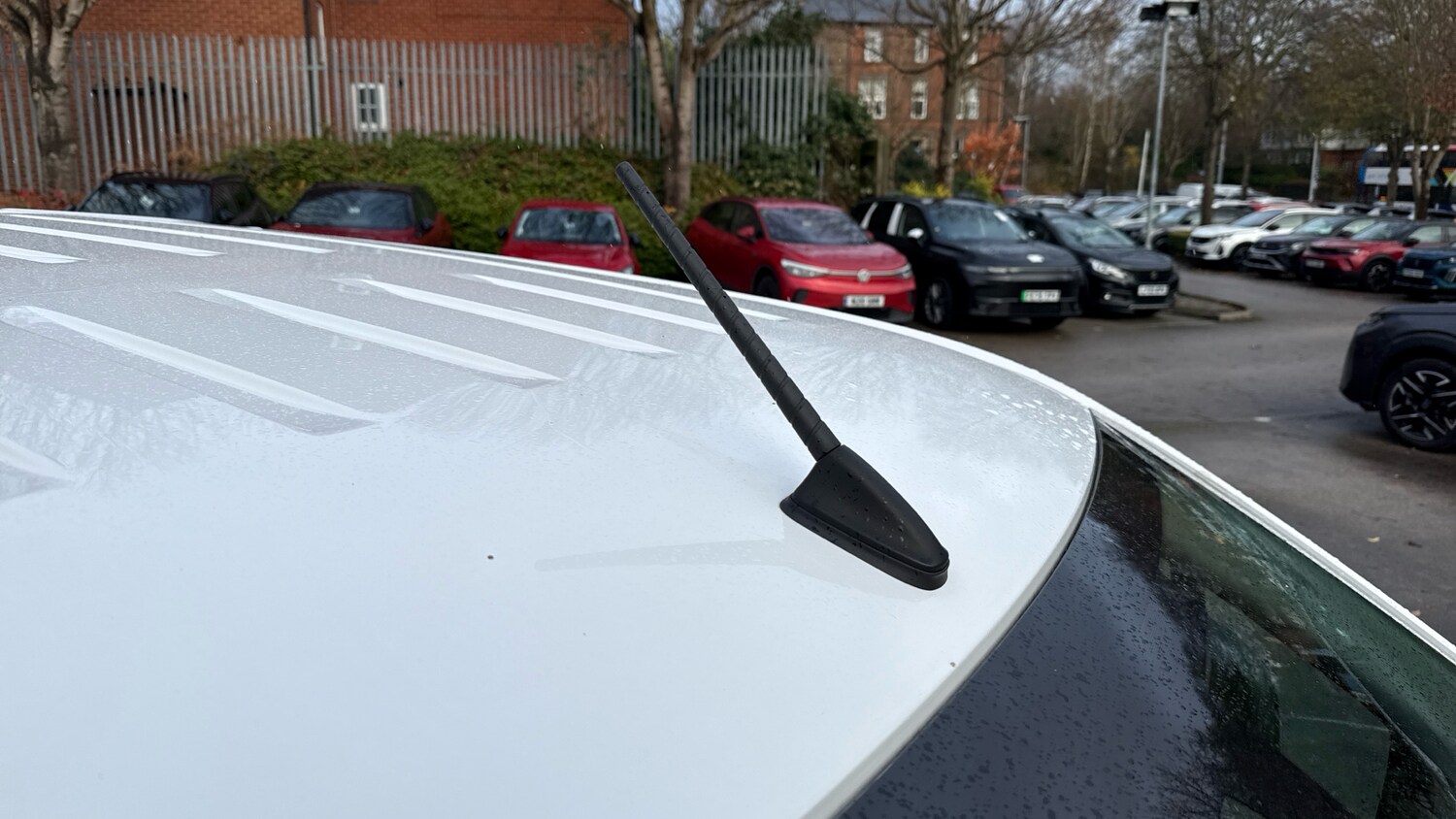 Used Citroen Berlingo 2024 for sale - 76887937: Photo 46