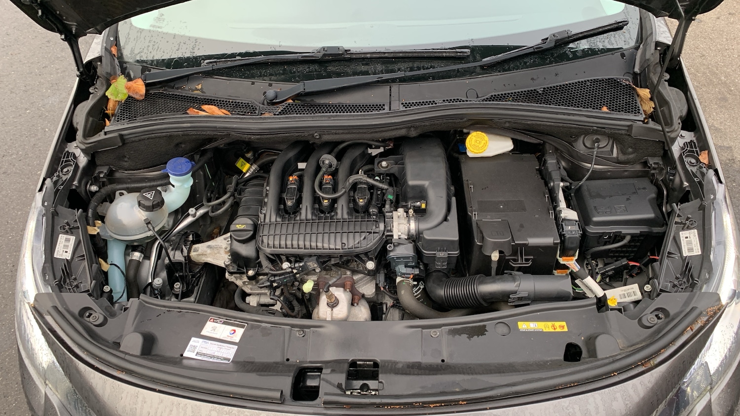 Used Peugeot 2008 2019 for sale - 76574348: Photo 19