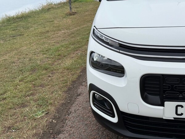 Used Citroen Berlingo 2019 for sale - 75801250: Photo 29