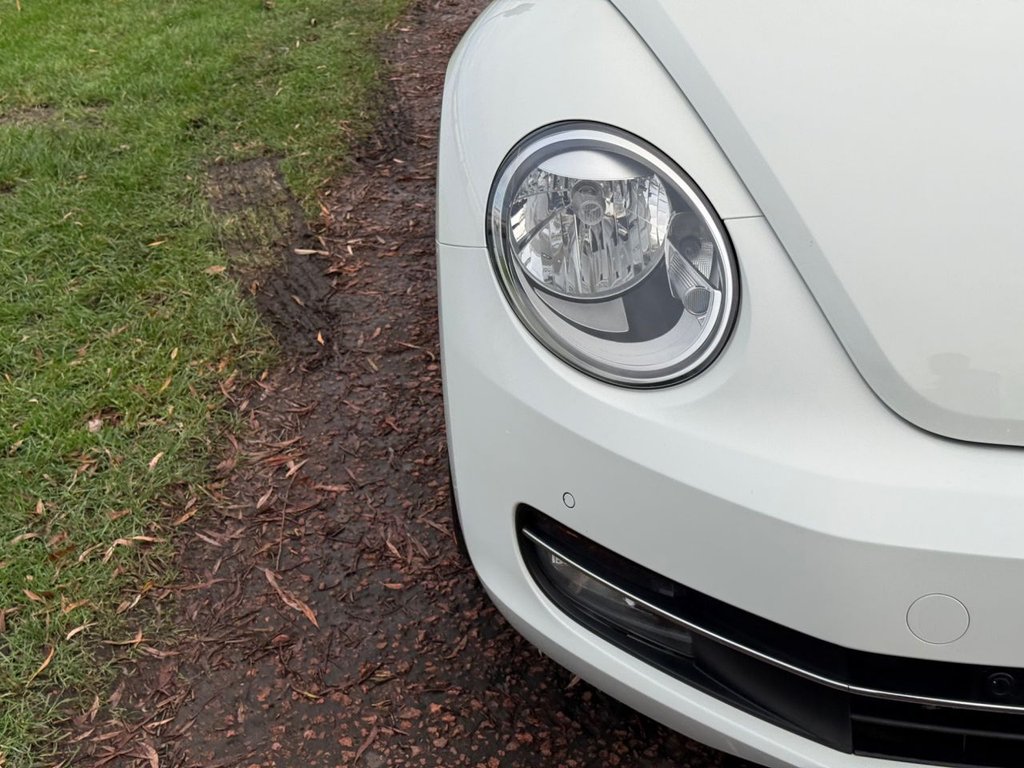 Used Volkswagen Beetle 2014 for sale - 76670616: Photo 31